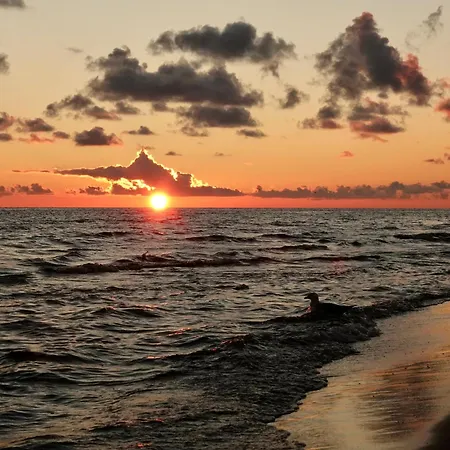 아파트 Mierzeja - Baltic Garden, 슈투토보